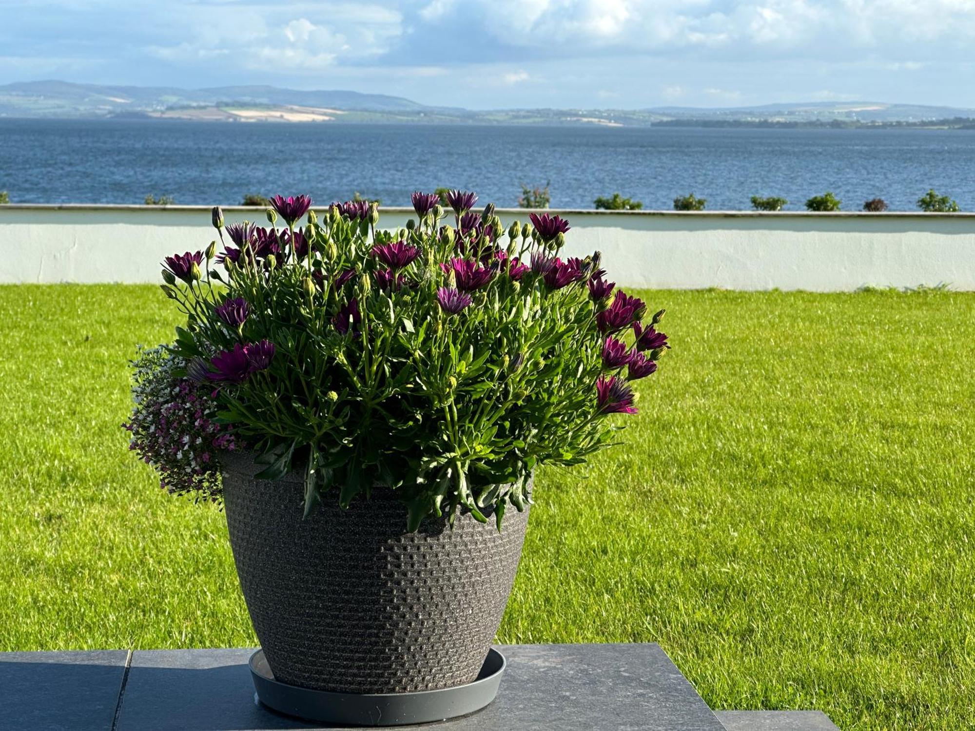 Sea Vista - Rathmullan Villa Exterior photo